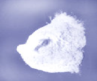 blob.png blob.png